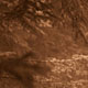 RainPathSepia